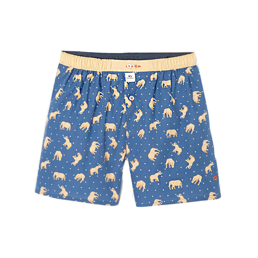 BillyBelt - Organic cotton boxer shorts - Elephant Dream - Size XL