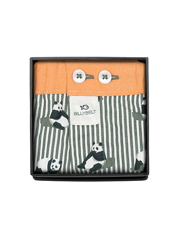 BillyBelt - Organic cotton boxer shorts - Sichuan - Size M