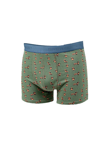 Billybelt - Boxer - Teckel - M