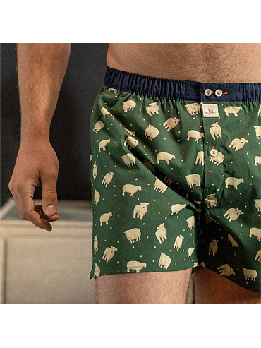BillyBelt - Biologisch katoenen boxershorts - Irish - Maat 2XL